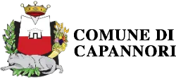 logo comune capannori