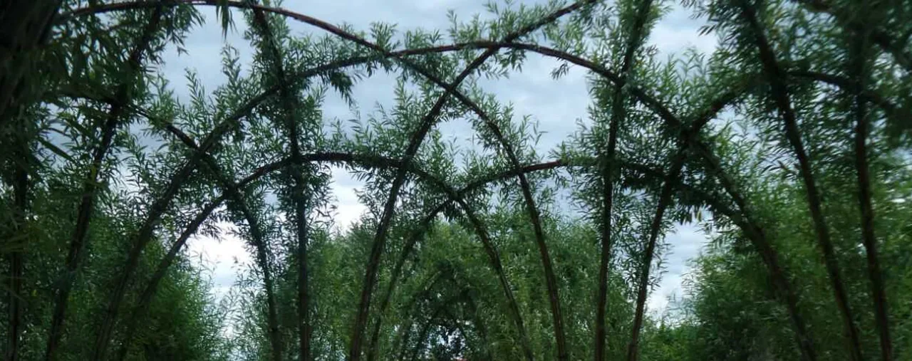 Parco Pubblico Pandora